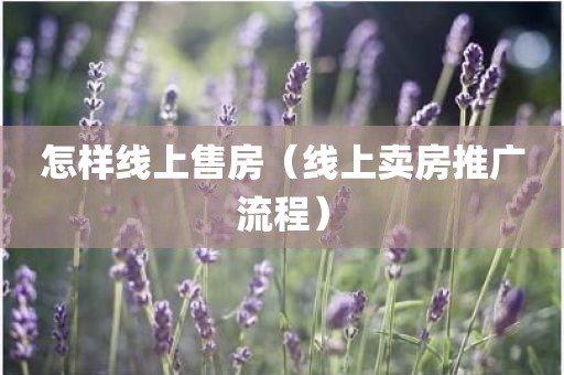 怎样线上售房（线上卖房推广流程）