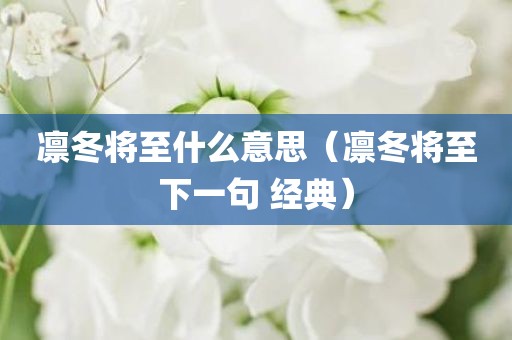 凛冬将至什么意思(凛冬将至下一句 经典)