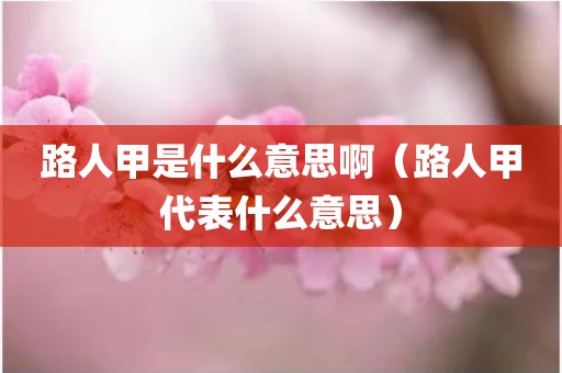 路人甲是什么意思啊（路人甲代表什么意思）