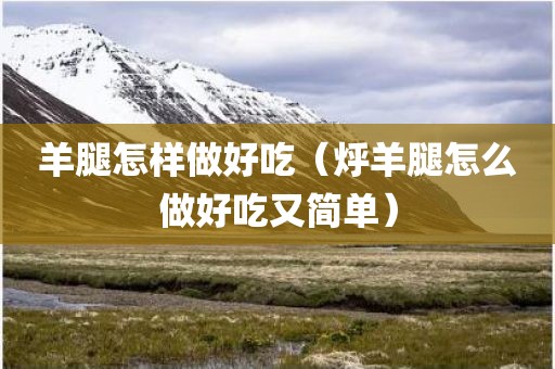 羊腿怎样做好吃（烀羊腿怎么做好吃又简单）