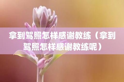 拿到驾照怎样感谢教练（拿到驾照怎样感谢教练呢）
