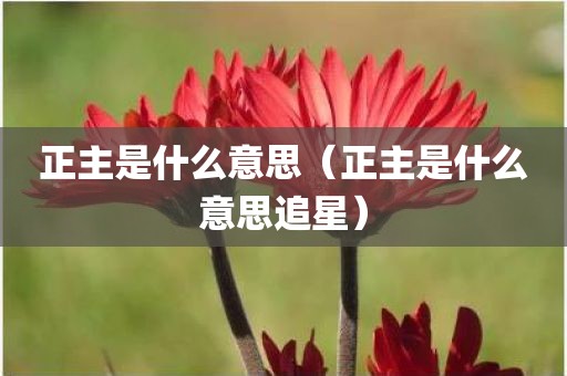 正主是什么意思（正主是什么意思追星）