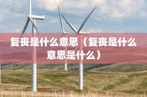 复丧是什么意思（复丧是什么意思是什么）