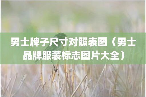 男士牌子尺寸对照表图（男士品牌服装标志图片大全）