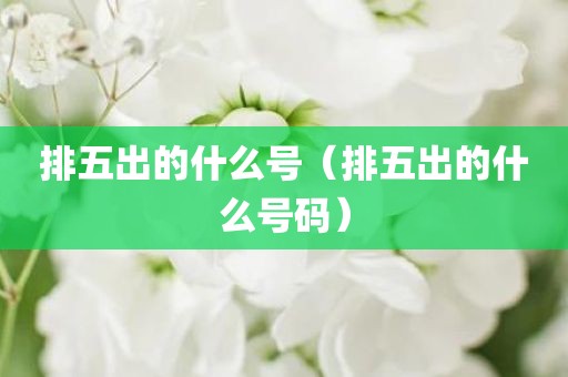 排五出的什么号（排五出的什么号码）