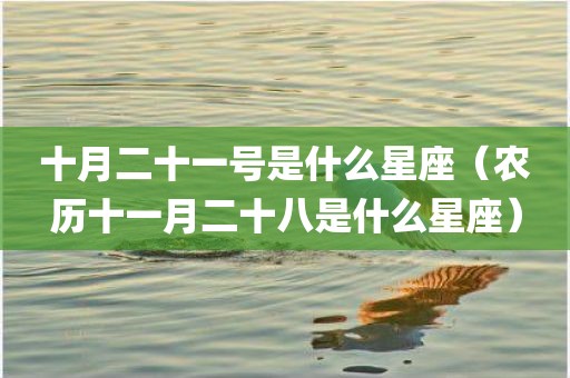 十月二十一号是什么星座（农历十一月二十八是什么星座）
