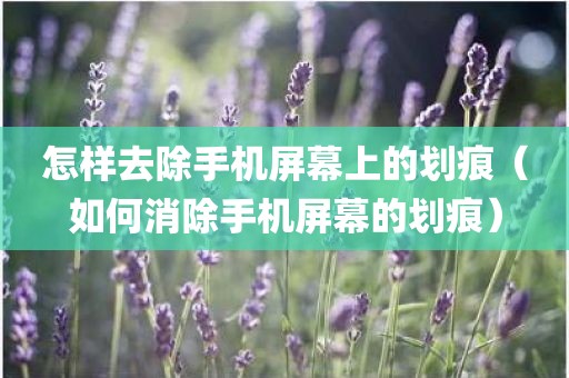 怎样去除手机屏幕上的划痕（如何消除手机屏幕的划痕）