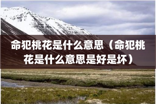 命犯桃花是什么意思(命犯桃花是什么意思是好是坏)