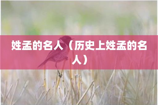 姓孟的名人(历史上姓孟的名人)