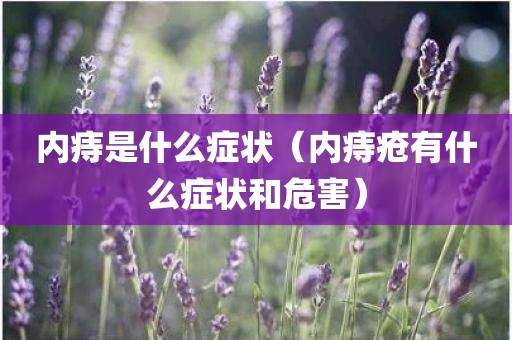 内痔是什么症状（内痔疮有什么症状和危害）