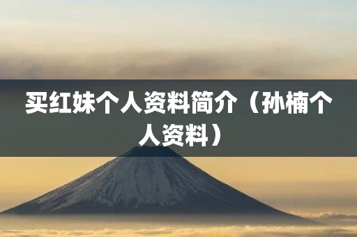 买红妹个人资料简介（孙楠个人资料）
