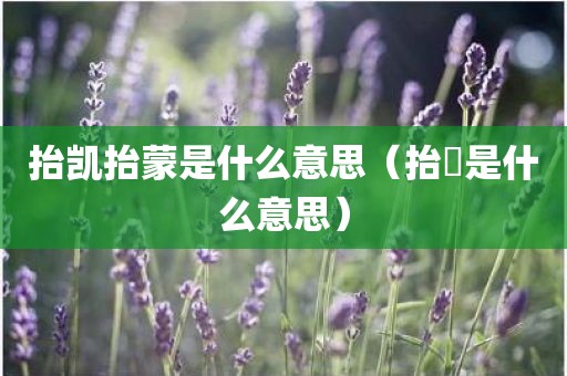 抬凯抬蒙是什么意思（抬扞是什么意思）