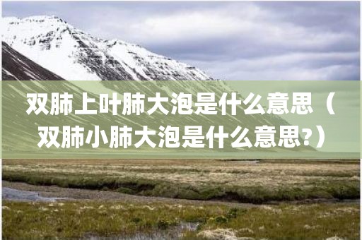 双肺上叶肺大泡是什么意思（双肺小肺大泡是什么意思?）