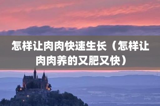 怎样让肉肉快速生长（怎样让肉肉养的又肥又快）
