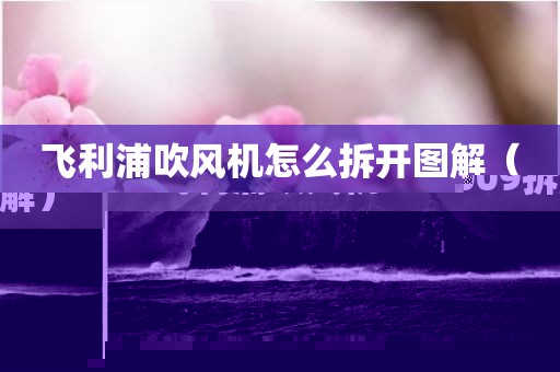 飞利浦吹风机怎么拆开图解（飞利浦吹风机bhd009拆解）