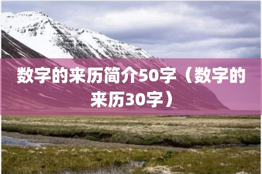 数字的来历简介50字（数字的来历30字）