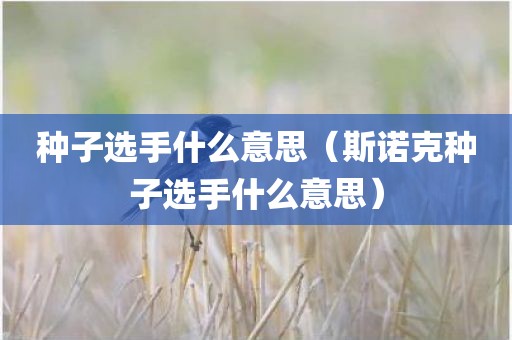 种子选手什么意思（斯诺克种子选手什么意思）