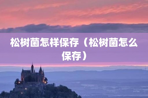 松树菌怎样保存（松树菌怎么保存）