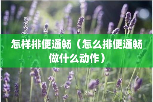 怎样排便通畅（怎么排便通畅做什么动作）