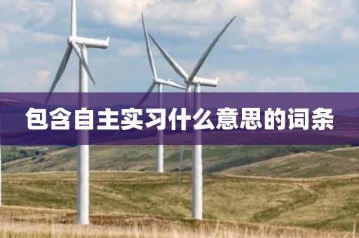 包含自主实习什么意思的词条
