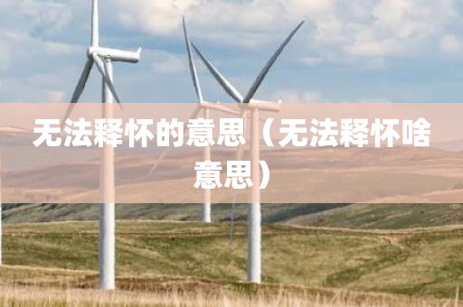 无法释怀的意思(无法释怀啥意思)
