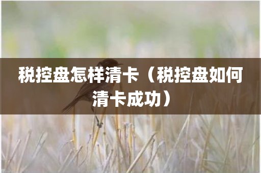 税控盘怎样清卡（税控盘如何清卡成功）
