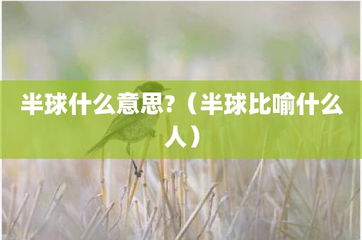 半球什么意思?（半球比喻什么人）