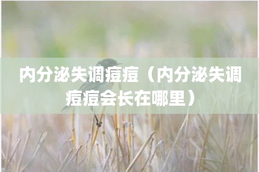 内分泌失调痘痘（内分泌失调痘痘会长在哪里）