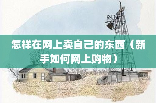 怎样在网上卖自己的东西（新手如何网上购物）