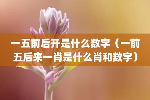 一五前后开是什么数字（一前五后来一肖是什么肖和数字）