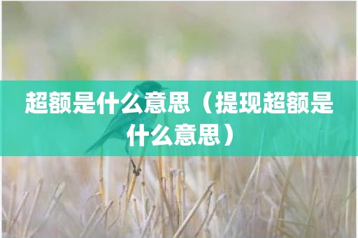 超额是什么意思（提现超额是什么意思）