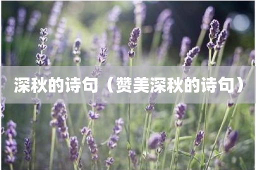 深秋的诗句（赞美深秋的诗句）