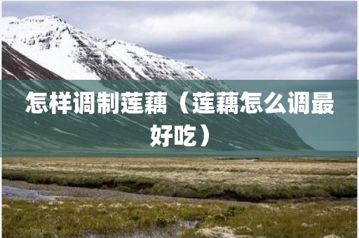 怎样调制莲藕（莲藕怎么调最好吃）