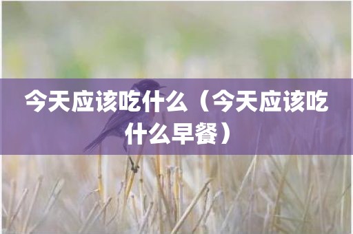 今天应该吃什么（今天应该吃什么早餐）