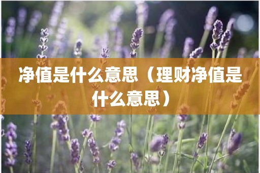 净值是什么意思（理财净值是什么意思）