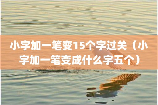 小字加一笔变15个字过关（小字加一笔变成什么字五个）