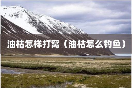 油枯怎样打窝（油枯怎么钓鱼）