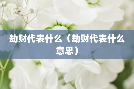 劫财代表什么（劫财代表什么意思）