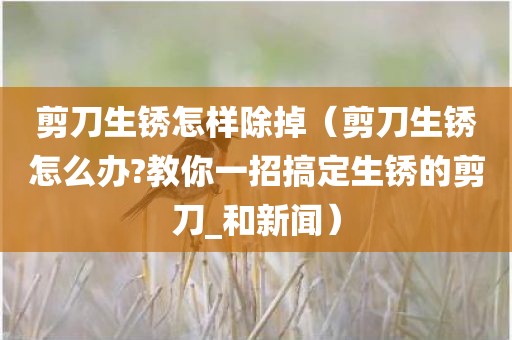 剪刀生锈怎样除掉（剪刀生锈怎么办?教你一招搞定生锈的剪刀_和新闻）