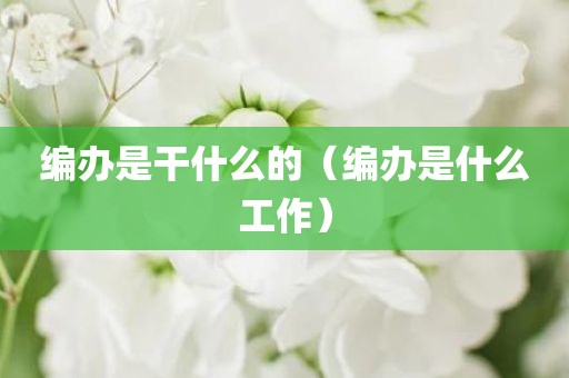 编办是干什么的（编办是什么工作）
