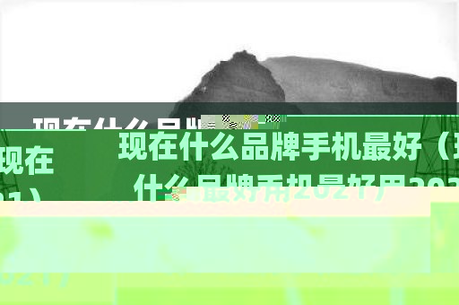 现在什么品牌手机最好（现在什么品牌手机最好用2021）