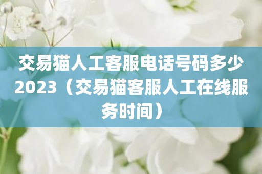 交易猫人工客服电话号码多少2023（交易猫客服人工在线服务时间）