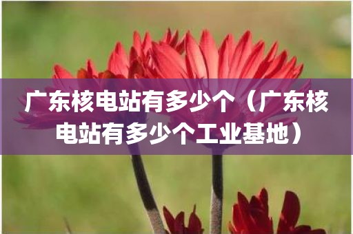 广东核电站有多少个（广东核电站有多少个工业基地）