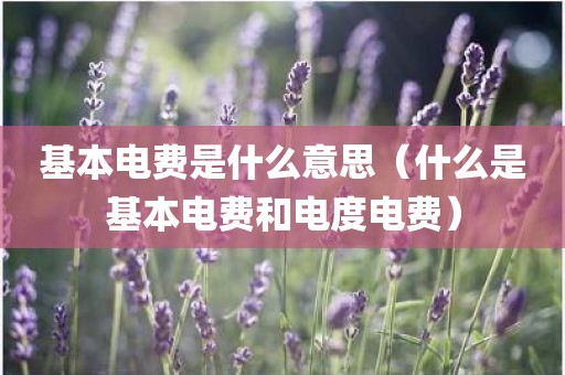 基本电费是什么意思(什么是基本电费和电度电费) 基本电费是什么意思(什么是基本电费和电度电费)