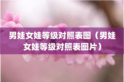 男娃女娃等级对照表图（男娃女娃等级对照表图片）