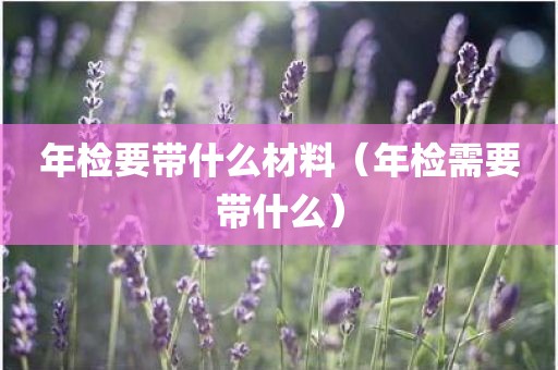 年检要带什么材料（年检需要带什么）