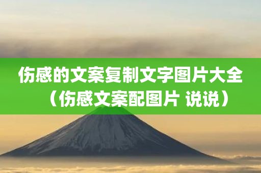 伤感的文案复制文字图片大全（伤感文案配图片 说说）