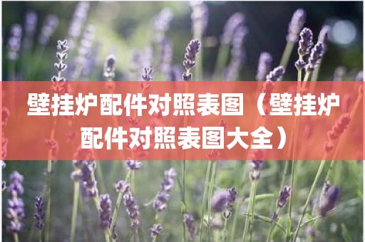 壁挂炉配件对照表图（壁挂炉配件对照表图大全）