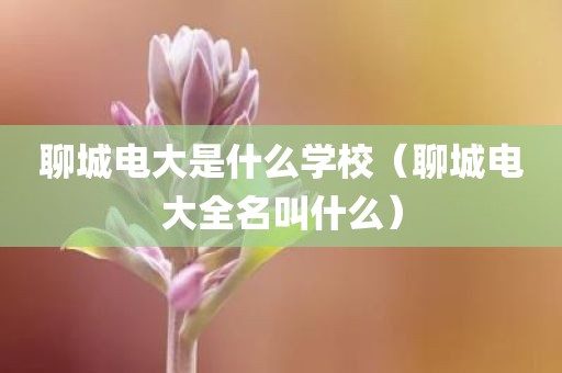 聊城电大是什么学校（聊城电大全名叫什么）