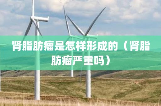 肾脂肪瘤是怎样形成的（肾脂肪瘤严重吗）
